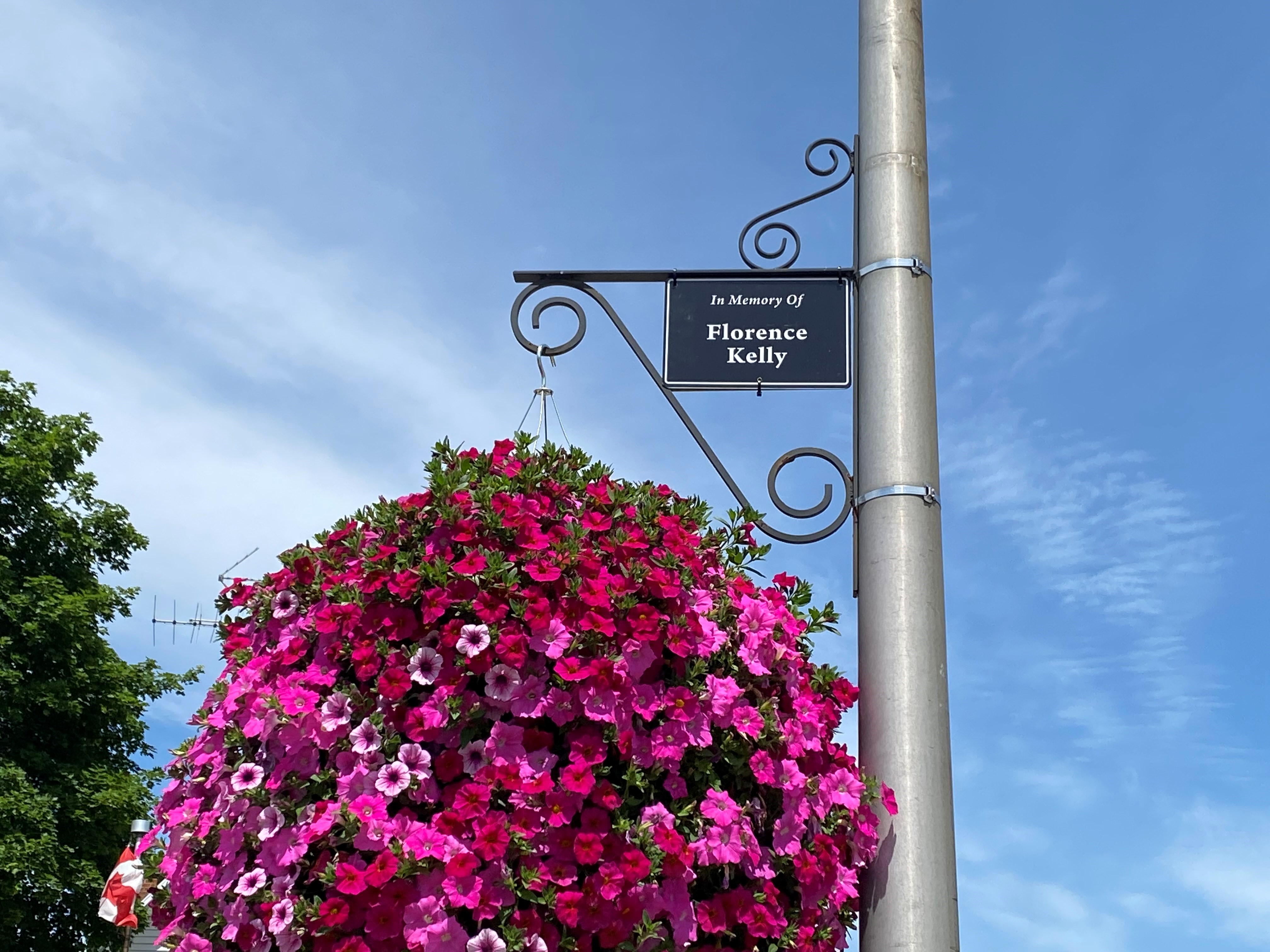 hanging basket with sign